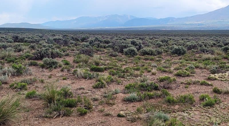 NW Taos 1/2 Acre Lot