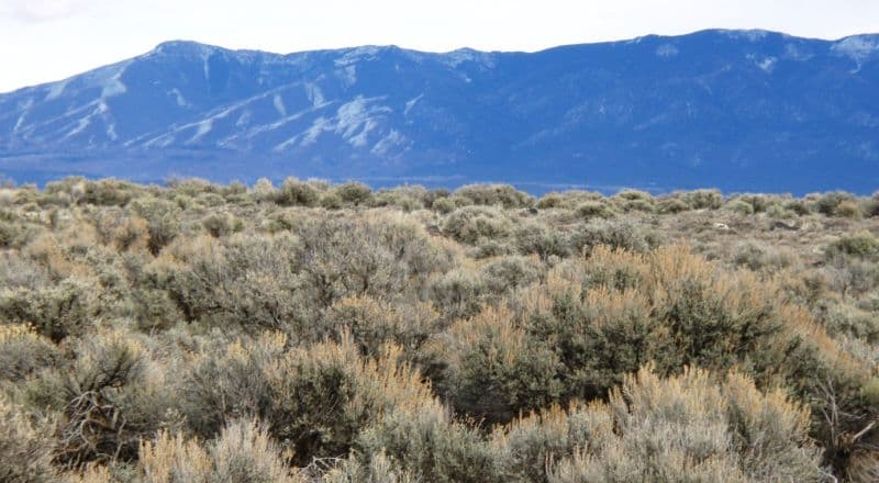 1/4 Acre Unrestricted Lot - Taos County