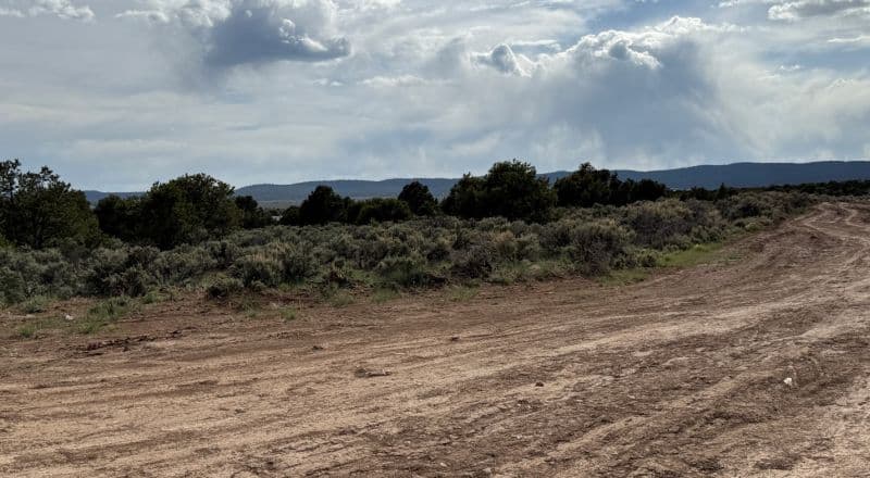Two Adjacent Oversized Lots - Over 1.4 Acres - Corner Included - NW of Taos - Good Roads