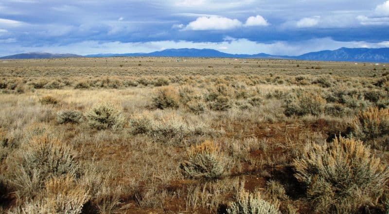 Tres Piedras 1/4 Acre Lot - No Restrictions - Great Views - Near Taos