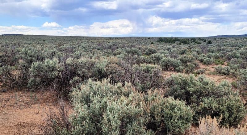 Bring Your RV - 1/2 Acre Lot - Taos Area