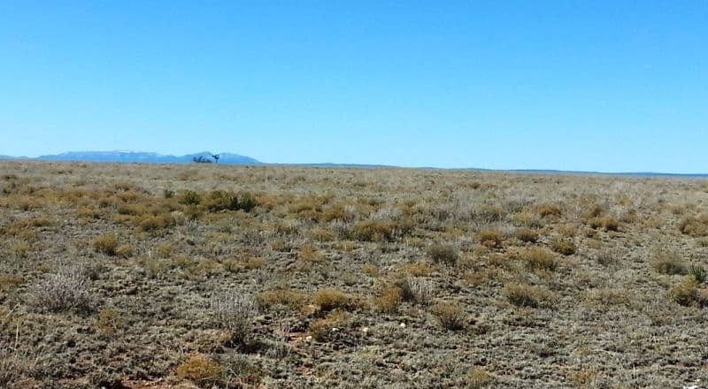 One Full Acre - Estancia Ranchettes - Albuquerque East Valley