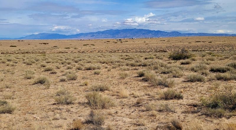 Unrestricted Corner Lot in Southern Rio Grande Estates