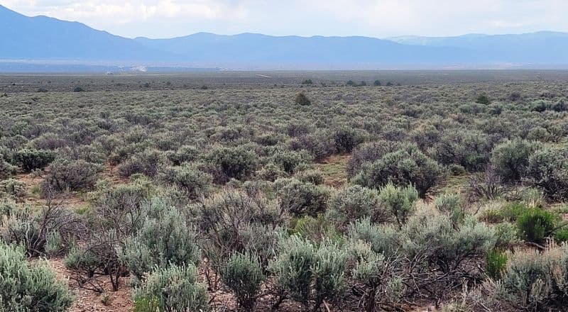 1/2 Acre Unrestricted Lot - RV's Allowed