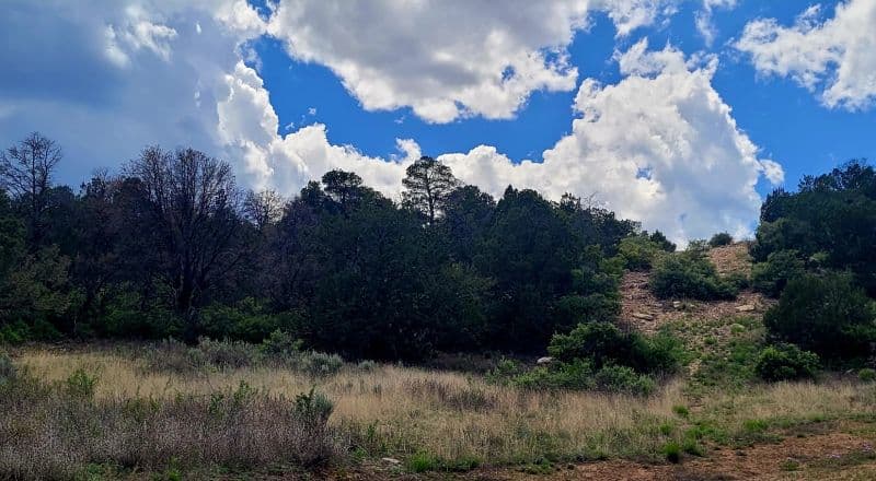 Bella Vista Estates - Heavily Wooded View Lot