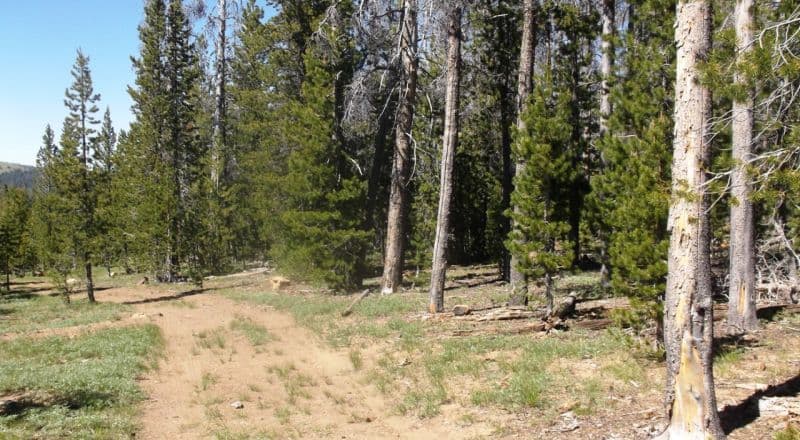 South Central Oregon Mountain Lakes Area Property - Great for Camping