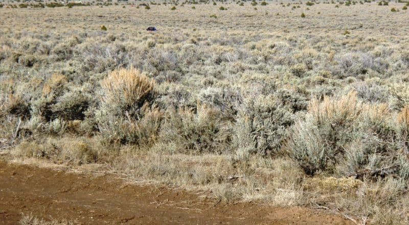 Taos Area - Some Development Around - Recreational Use Allowed