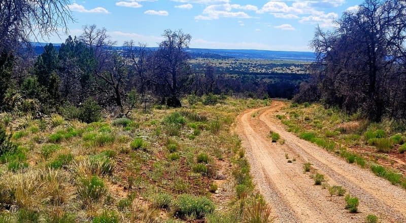 Trees - Huge Views - Over 2.5 Acres