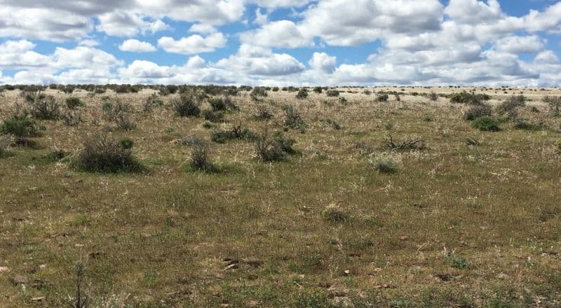 Nearly Ten Acres with Platted Road Access - Southeastern Oregon