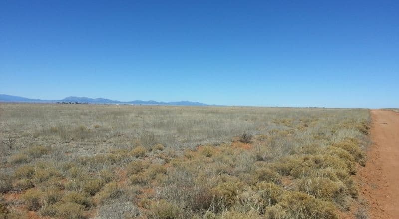 Albuquerque East Valley - One Full Acre