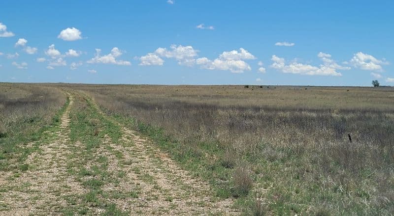 Bring Your Horses - Nearly Three Acres - Just East of Albuquerque - Large Acreage Properties