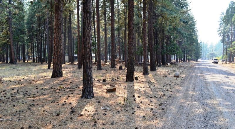 Keno Oregon Heavily Wooded Building Lot - Over One Acre - Power