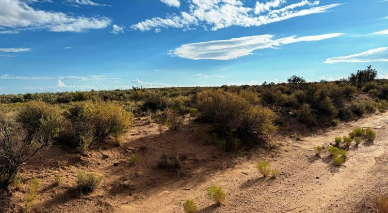 1.07 Acre Lot in the Southern Area of Rio Rancho on 20th Ave