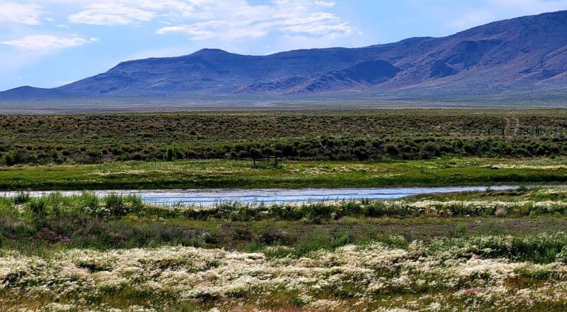 Two Adjacent Riverfront Lots - Camping and Recreational Use - South-Central Colorado