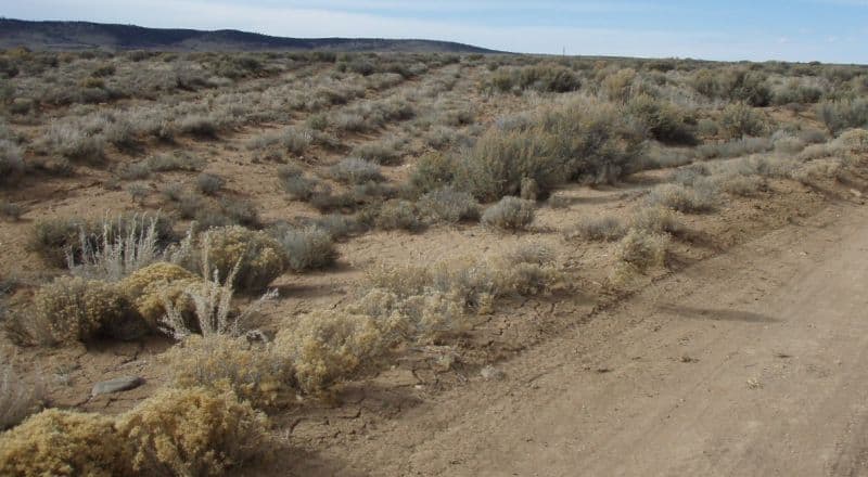 One Full Acre - Taos County - Use to Build or for Recreation