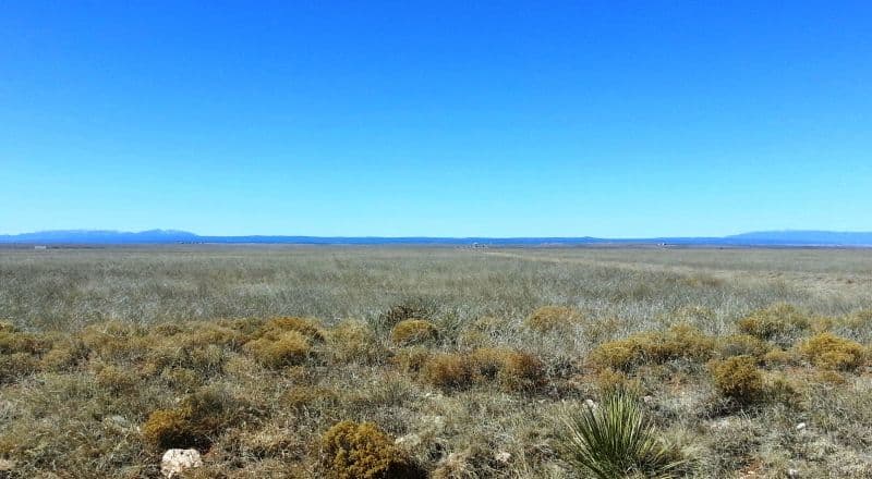 One Full Acre East of Albuquerque