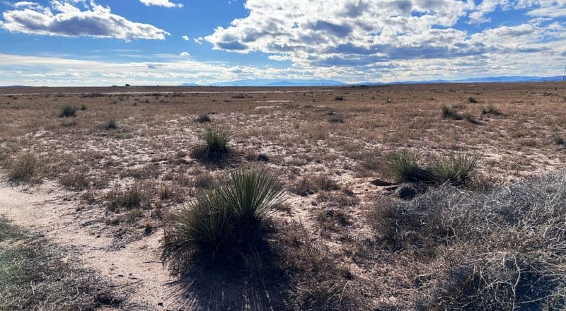 Off Grid New Mexico Property - No Restrictions - Corner Lot South of HWY 60