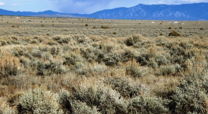 1/2 Acre Lot - RV's Permitted - No Restrictions