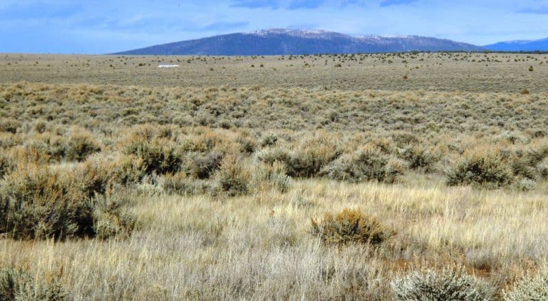 Bring Your RV - Taos County Recreational Lot